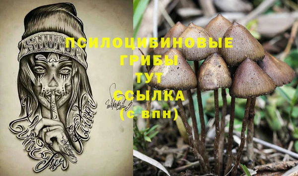 ECSTASY Балахна