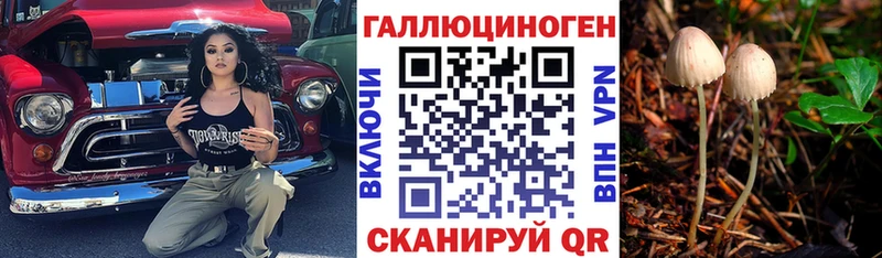 Купить  Печоры  Галлюциногенные грибы Cubensis 